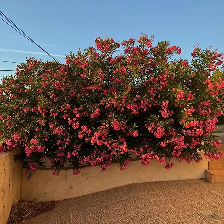 בית נופש Casa Vargas *